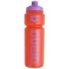 Arena Sport Bottle Red/Purple (750Ml)