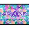 Amanzi Fineapples Neoprene Goggle Case