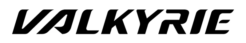 Swans Valkyrie-Non Mirrored 2 Swans Valkyrie-Non Mirrored - Image 2